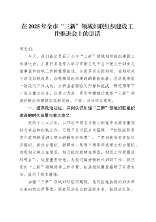 在2025年全市“三新”领域妇联组织建设工作推进会上的讲话