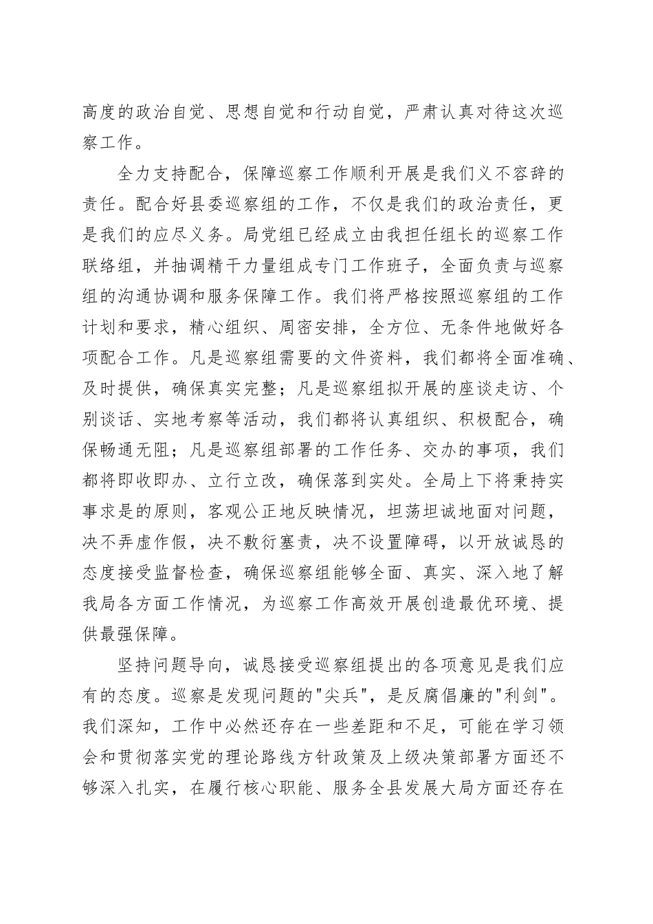 在2025年县委巡察组巡察局党组动员会上的表态发言_第2页