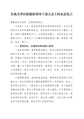 在机关单位新提拔领导干部大会上的表态发言