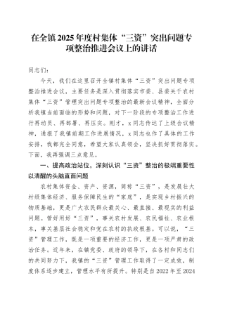 在全镇2025年度村集体“三资”突出问题专项整治推进会议上的讲话