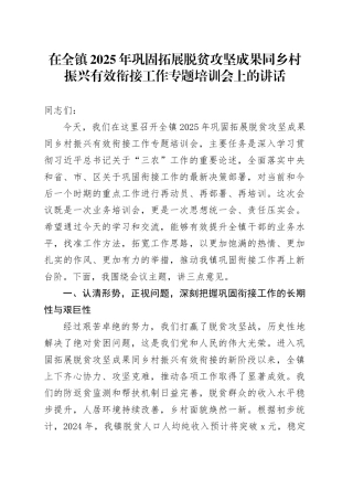 在全镇2025年巩固拓展脱贫攻坚成果同乡村振兴有效衔接工作专题培训会上的讲话