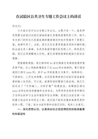 在试验区公共卫生专题工作会议上的讲话