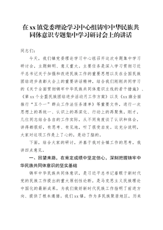 在镇党委理论学习中心组铸牢中华民族共同体意识专题集中学习研讨会上的讲话（1）