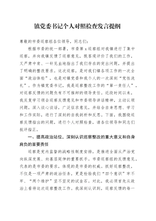 镇党委书记个人对照检查发言提纲