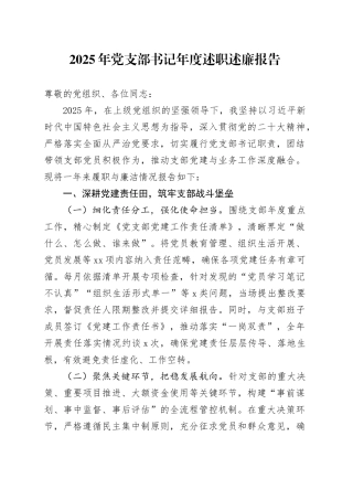2025年党支部书记年度述职述廉报告20251024