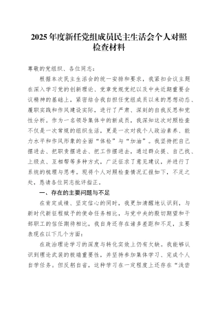 2025年度新任党组成员民主生活会个人对照检查材料