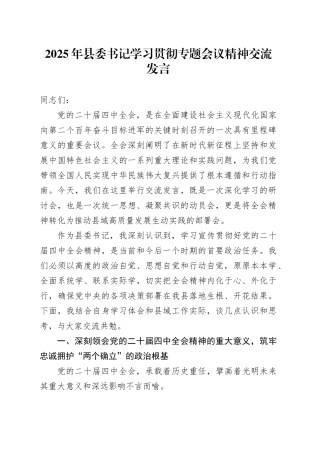 2025年县委书记学习贯彻专题会议精神交流发言