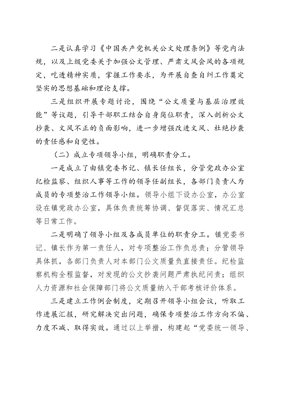 2025年乡镇街道公文抄袭问题专项整治自查自纠报告_第2页