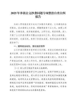 2025年乡镇街道公文抄袭问题专项整治自查自纠报告