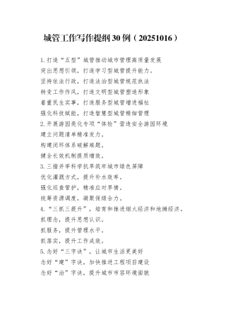 城管工作写作提纲30例（20251016）