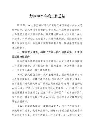大学2025年度工作总结
