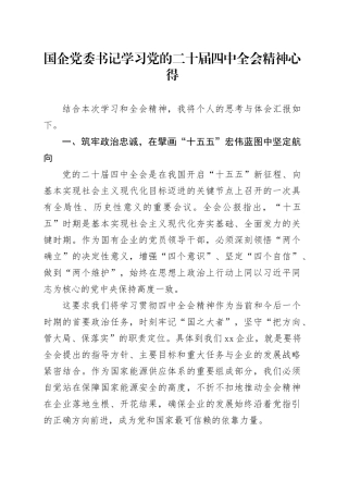 国企党委书记学习党的二十届四中全会精神心得20251103