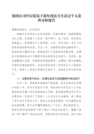 集团公司中层党员干部年度民主生活会个人党性分析报告