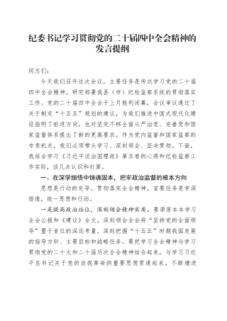 纪委书记学习贯彻党的二十届四中全会精神的发言提纲20251105