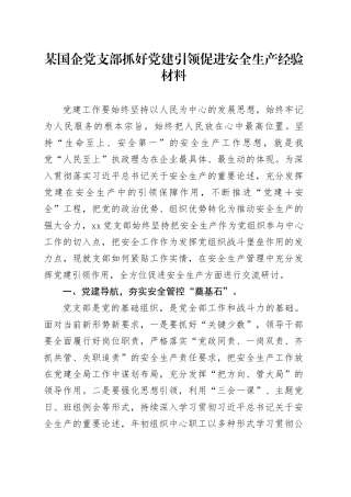 某国企党支部抓好党建引领促进安全生产经验材料