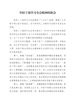 年轻干部学习贯彻党的二十届四中全会精神心得体会20251107