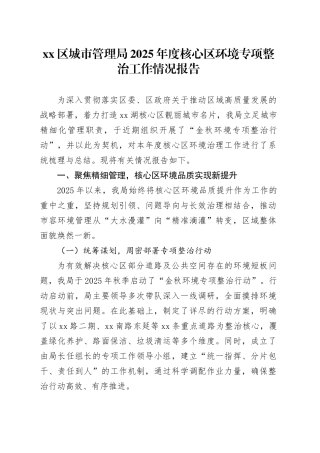 区城市管理局2025年度核心区环境专项整治工作情况报告