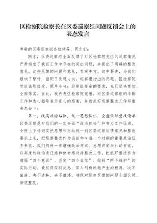 区检察院检察长在区委巡察组问题反馈会上的表态发言