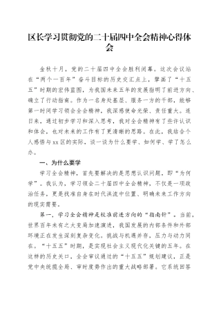 区长学习贯彻党的二十届四中全会精神心得体会