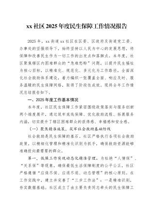 社区2025年度民生保障工作情况报告