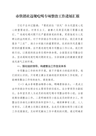 市供销社违规吃喝专项整治工作进展汇报