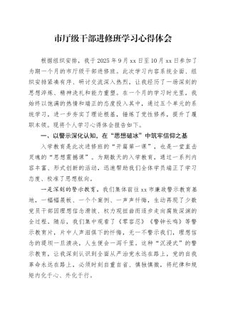 市厅级干部进修班学习心得体会