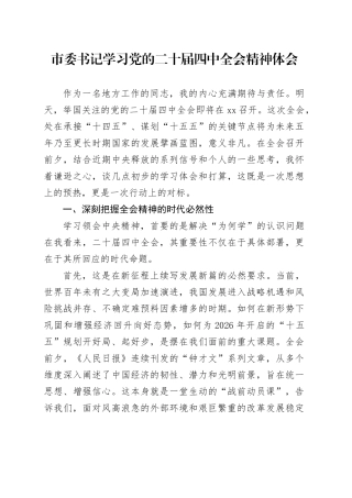 市委书记学习党的二十届四中全会精神心得体会20251103