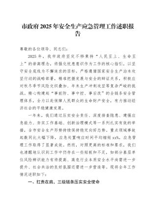 市政府2025年安全生产应急管理工作述职报告