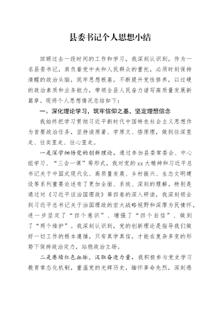县委书记个人思想小结