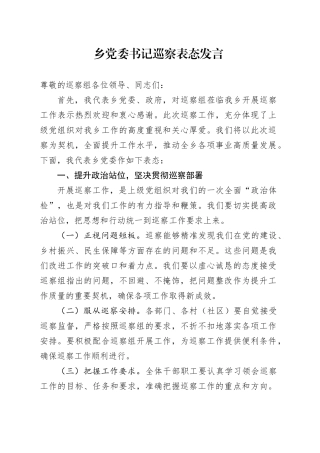 乡党委书记巡察表态发言