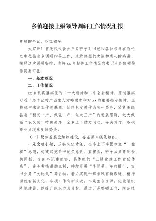 乡镇街道迎接上级领导调研工作情况汇报