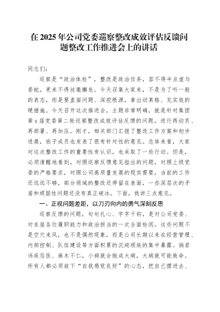 在2025年公司党委巡察整改成效评估反馈问题整改工作推进会上的讲话