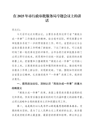 在2025年市行政审批服务局专题会议上的讲话