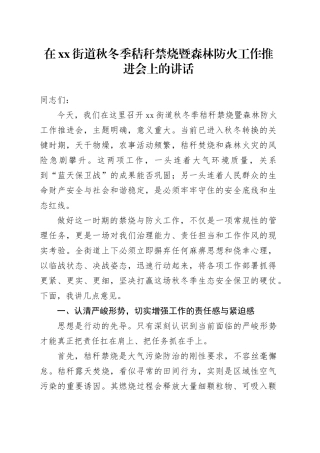 在街道秋冬季秸秆禁烧暨森林防火工作推进会上的讲话
