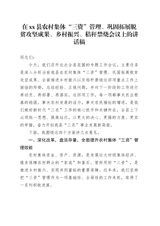 在县农村集体“三资”管理、巩固拓展脱贫攻坚成果、乡村振兴、秸秆禁烧会议上的讲话稿
