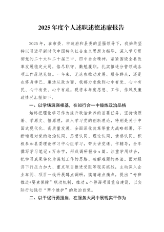 2025年度个人述职述德述廉报告