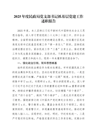 2025年度民政局党支部书记抓基层党建工作述职报告