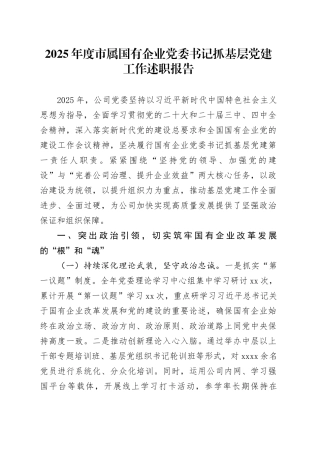 2025年度市属国有企业党委书记抓基层党建工作述职报告