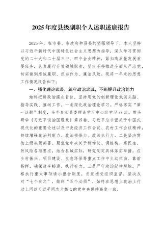 2025年度县级副职个人述职述廉报告