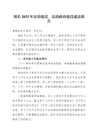2025年法治建设、法治政府建设述法报告