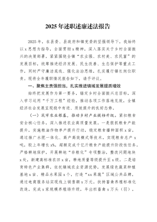 2025年述职述廉述法报告