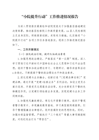 2025年小院提升行动报告