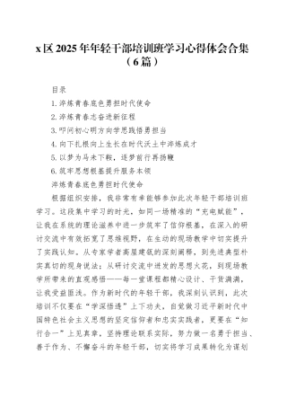 X区2025年年轻干部培训班学习心得体会合集（6篇）