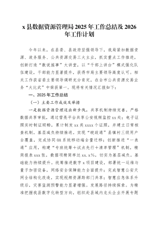X县数据资源管理局2025年工作总结及2026年工作计划