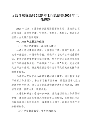 X县自然资源局2025年工作总结暨2026年工作思路