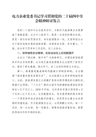 电力企业党委书记学习贯彻党的二十届四中全会精神研讨发言20251119