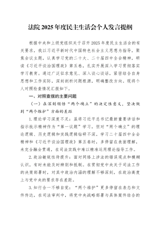 法院2025年度民主生活会个人发言提纲