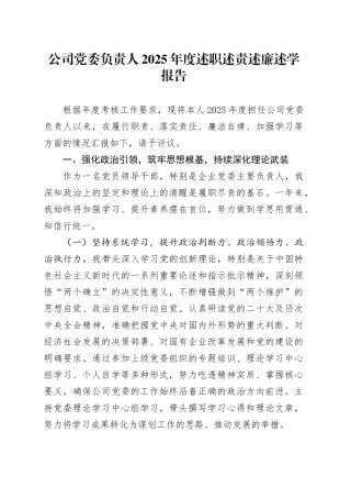 公司党委负责人2025年度述职述责述廉述学报告