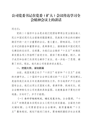 公司党委书记在党委（扩大）会议传达学习党的二十届四中全会精神会议上的讲话20251128