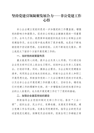 坚持党建引领 凝聚发展合力——非公党建工作心得